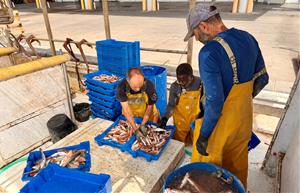 La pesca de gamba vermella a la Costa Central, aturada pels topalls europeus en un any de població 