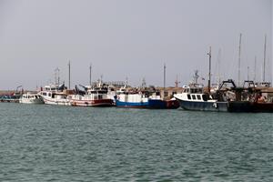 La pesca de gamba vermella a la Costa Central, aturada pels topalls europeus en un any de població 