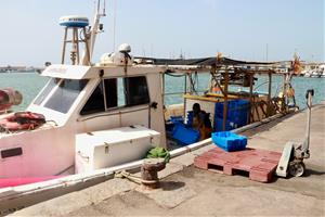 La pesca de gamba vermella a la Costa Central, aturada pels topalls europeus en un any de població 