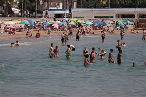 La temperatura de l’aigua del mar a l’estiu bat rècords i s’enfila 2,3 ºC per sobre de la mitjana. ACN