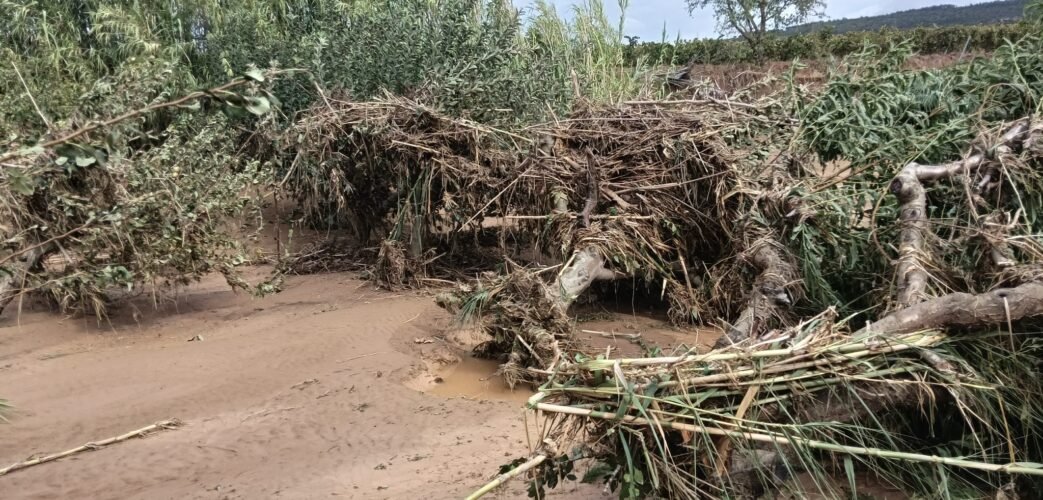 La tempesta de dimecres causa danys en 15 hectàrees d’horta i vinya a l’Alt Penedès. Unió de Pagesos