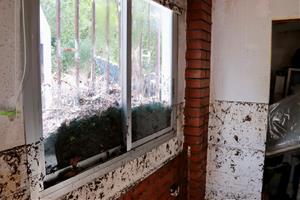 L'aiguat arrasa una casa i provoca diverses destrosses en una urbanització de Canyelles