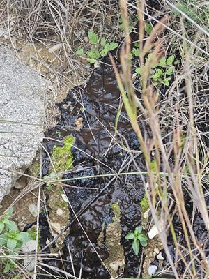 L’Ajuntament de Cubelles detecta un presumpte abocament il·legal de residus a l’espai natural del Foix. Ajuntament de Cubelles