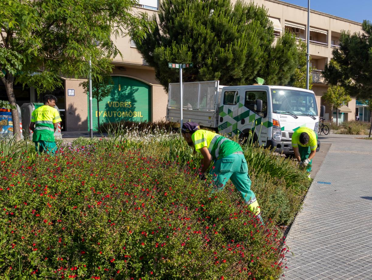 L’Auntament de Vilafranca adjudica a Entrem el servei de manteniment dels espais verds del municipi. Ajuntament de Vilafranca
