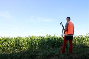 Les empreses que recullen senglars baixen un 80% les vendes per la PPA i comencen una aturada indefinida. ACN