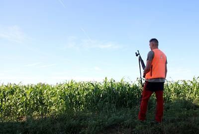 Les empreses que recullen senglars baixen un 80% les vendes per la PPA i comencen una aturada indefinida. ACN