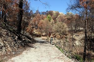 Les feines de restauració de l'incendi de Carme començaran a finals d'any i els propietaris demanen una gestió 