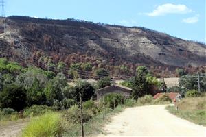 Les feines de restauració de l'incendi de Carme començaran a finals d'any i els propietaris demanen una gestió 