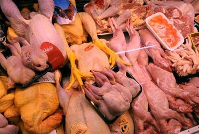 Les parades d’aviram dels mercats de Vilanova i la Geltrú: tradició, innovació i alimentació de proximitat. EIX