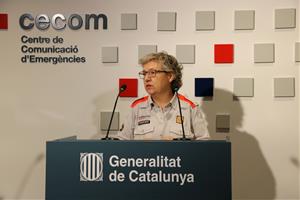 Les pluges deixen registres de més de 30 litres en mitja hora al Penedès i s'espera que es desplacin cap al nord. ACN