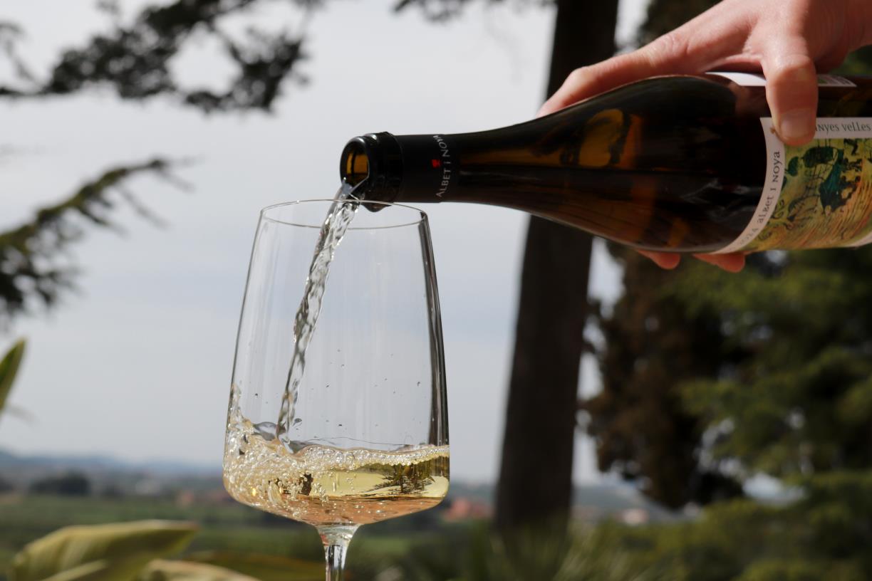 Les vendes de vi amb DO catalanes cauen un 4,6% en volum i un 3,4% en valor el 2025 . ACN