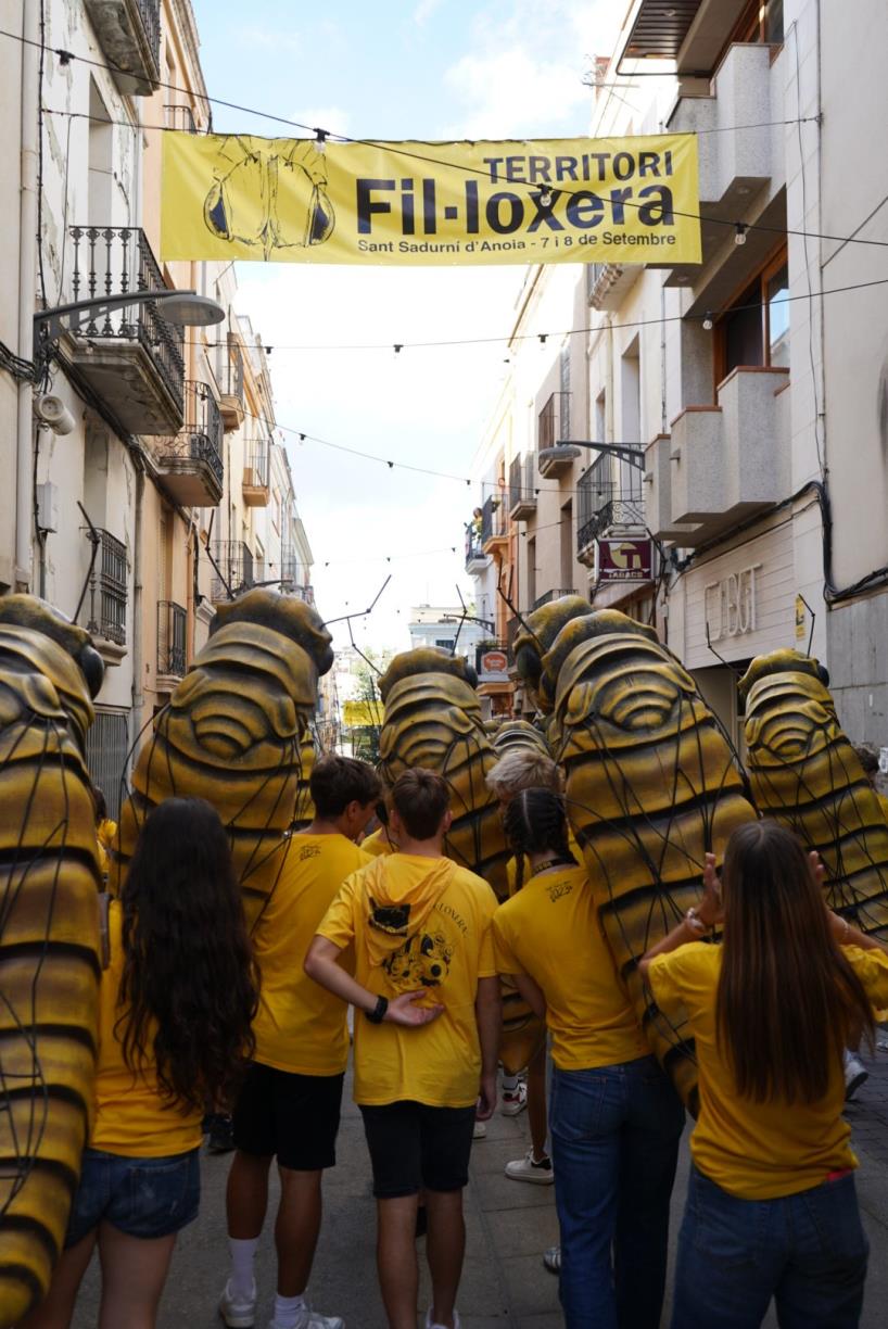 L’Espai Fil·loxera tornarà a omplir Sant Sadurní de groc aquest dissabte. Festa de la Fil·loxera