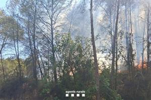 L'incendi forestal de Cubelles queda estabilitzat després de mobilitzar 35 dotacions terrestres i 10 mitjans aeris