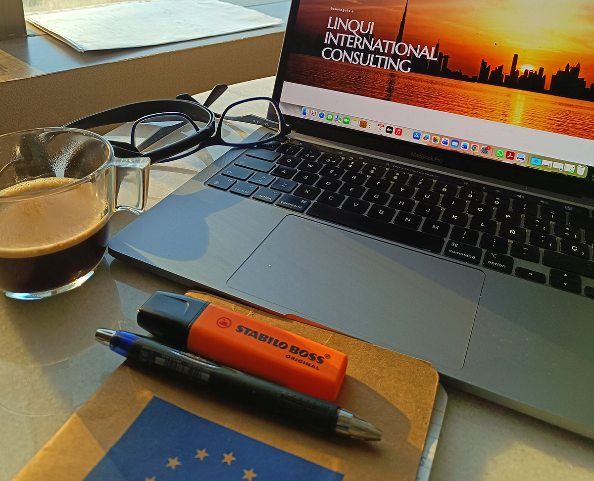 Linqui International Consulting. Eix