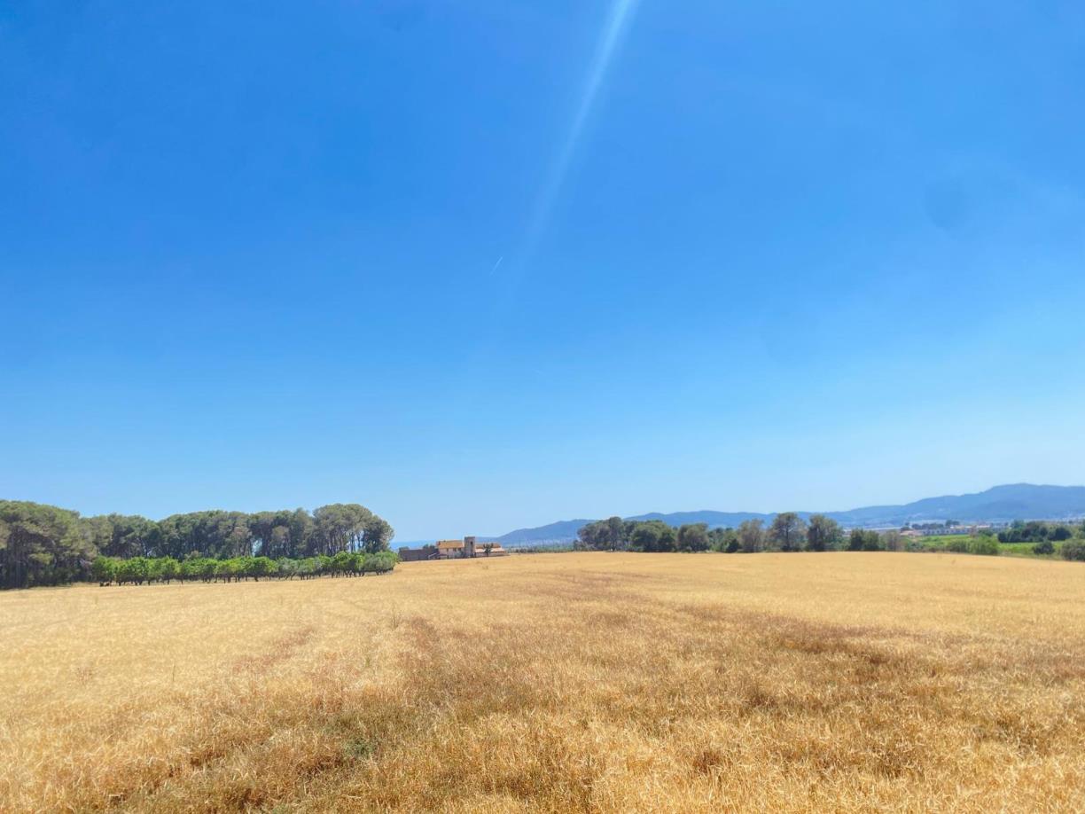 Llorenç del Penedès rebutja l’avantprojecte del PLATER per l’impacte sobre el sòl agrícola i vitivinícola. Ajuntament de Llorenç