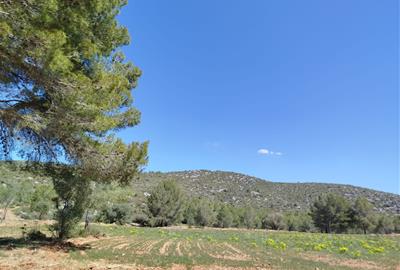L'Observatori de Bioeconomia del Penedès-Garraf analitza i interpreta la informació territorial per convertir-la en coneixement útil per als ajuntamen