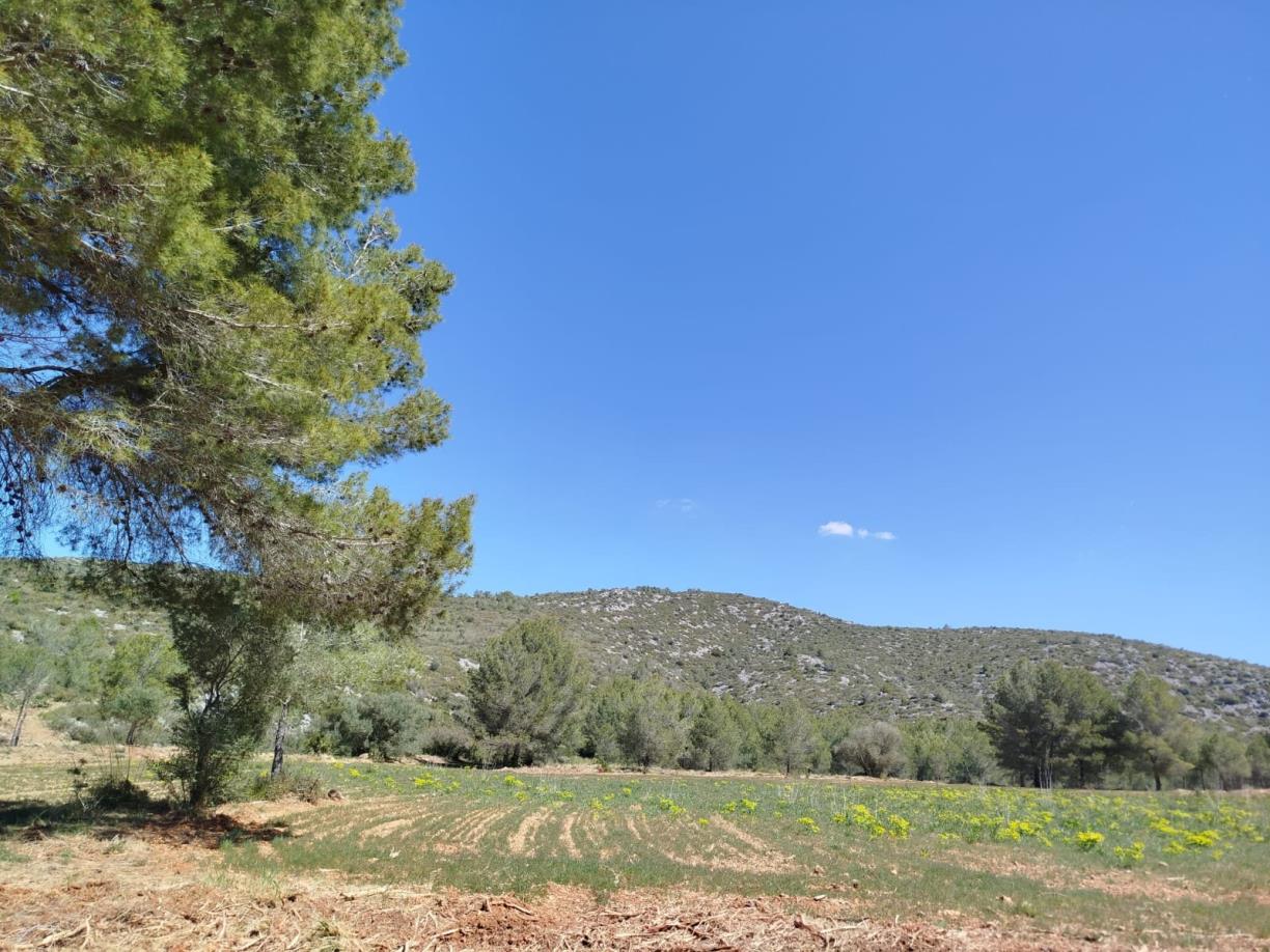 L'Observatori de Bioeconomia del Penedès-Garraf analitza i interpreta la informació territorial per convertir-la en coneixement útil per als ajuntamen