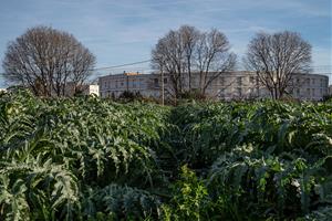 L’Ortoll s’erigeix en petit tresor a tocar del nucli urbà de la ciutat. Amadeu Torné Güell