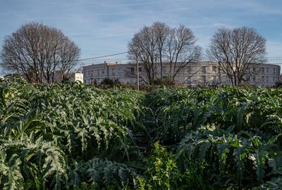 L’Ortoll s’erigeix en petit tresor a tocar del nucli urbà de la ciutat. Amadeu Torné Güell