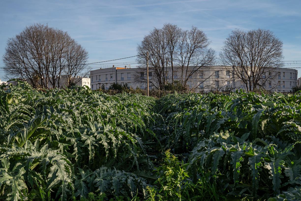 L’Ortoll s’erigeix en petit tresor a tocar del nucli urbà de la ciutat. Amadeu Torné Güell