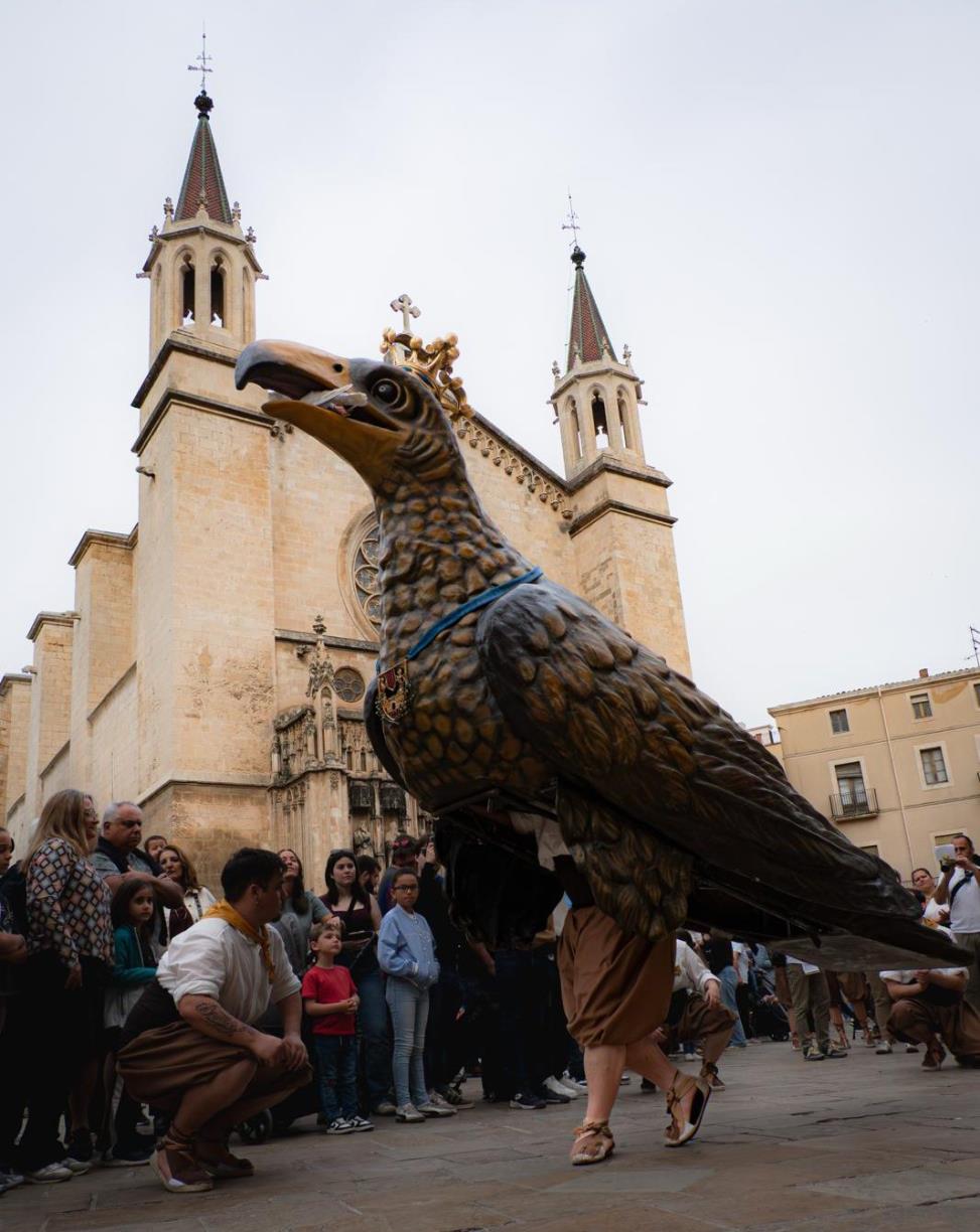 L’Àliga de Vilafranca estrena posada a punt integral en el seu any del centenari. Ajuntament de Vilafranca