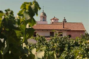 Malvasia de Sitges. Eix
