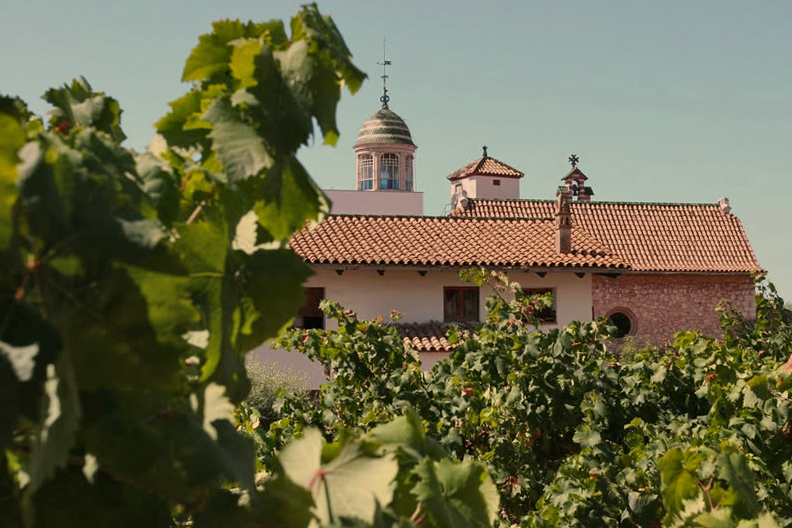 Malvasia de Sitges. Eix