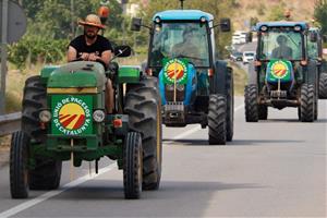 Mig centenar de pagesos i una quinzena de tractors fan una marxa lenta per exigir solucions per l’excedent de raïm. ACN