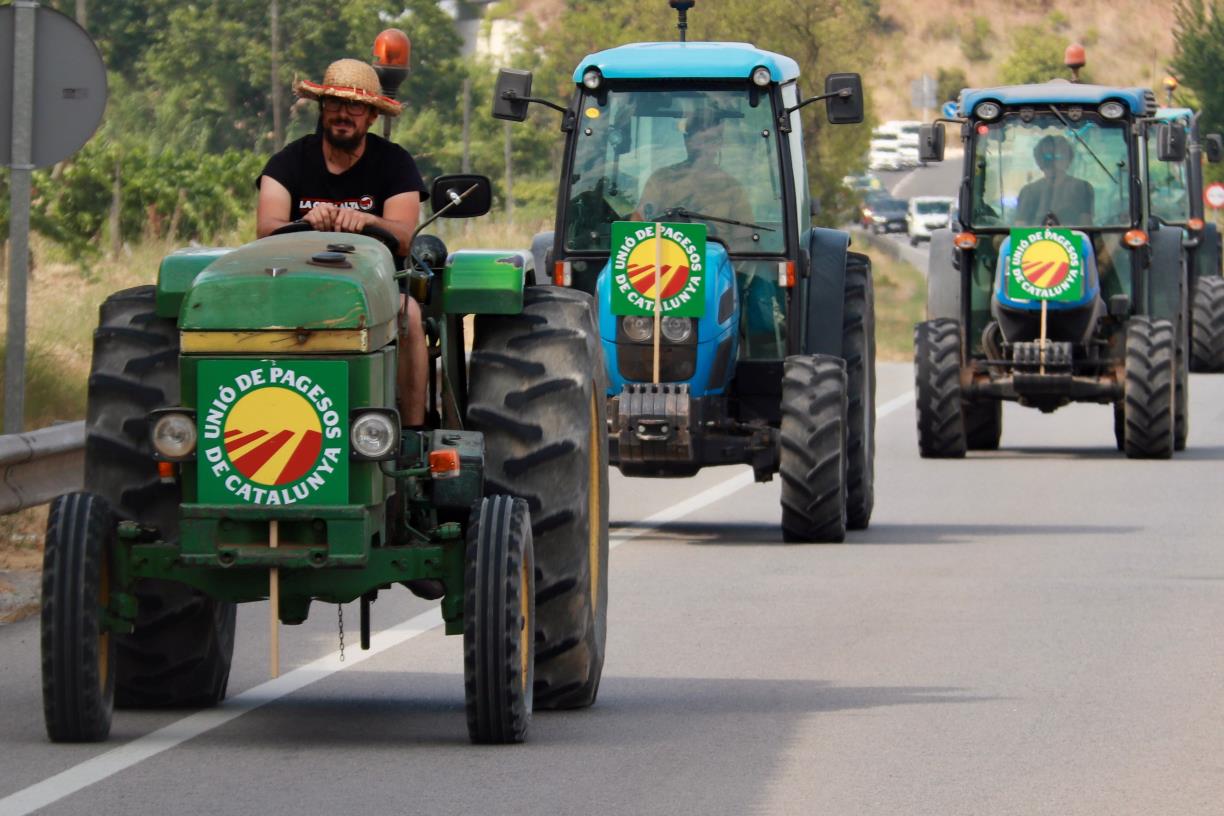 Mig centenar de pagesos i una quinzena de tractors fan una marxa lenta per exigir solucions per l’excedent de raïm. ACN
