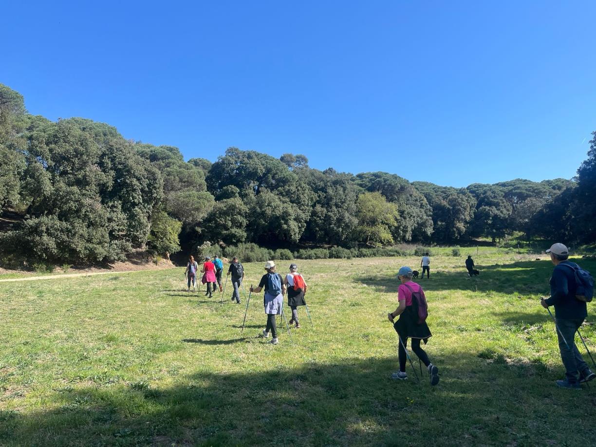 Olivella consolida un model d’envelliment significatiu amb una àmplia xarxa de programes per a les persones grans. Ajuntament d'Olivella