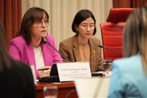 Paneque prorroga la gratuïtat de Rodalies “fins a la restitució completa del sistema”. ACN