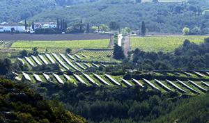 Parc fotovoltaic entre vinyes a Viladellops. Eix
