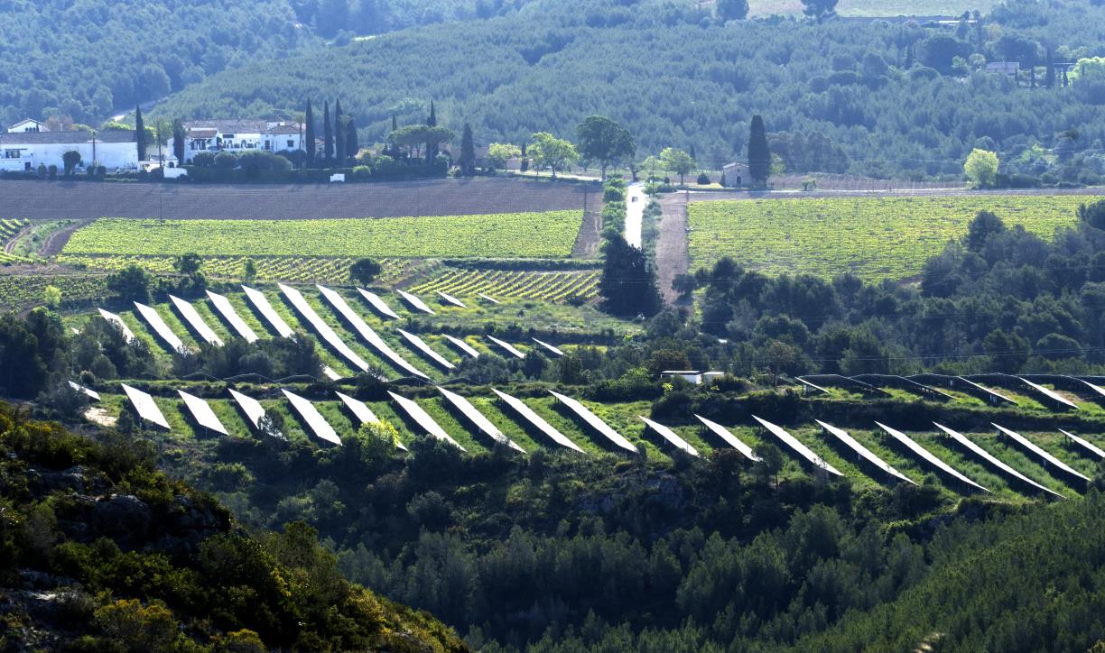 Parc fotovoltaic entre vinyes a Viladellops. Eix