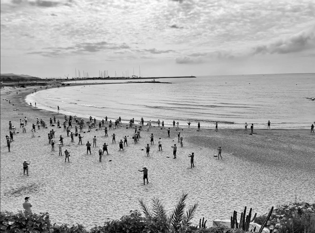 Platja de la República. Eix