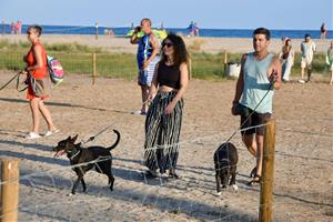 Platja per a gossos ubicada a l’altura dels jardins de l’Alberg de Coma-ruga. Ajt. del Vendrell
