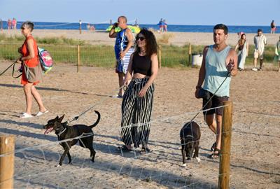 Platja per a gossos ubicada a l’altura dels jardins de l’Alberg de Coma-ruga. Ajt. del Vendrell
