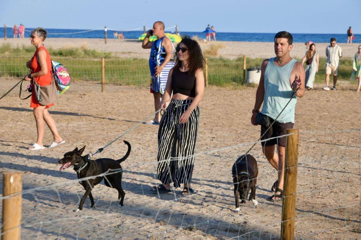 Platja per a gossos ubicada a l’altura dels jardins de l’Alberg de Coma-ruga. Ajt. del Vendrell