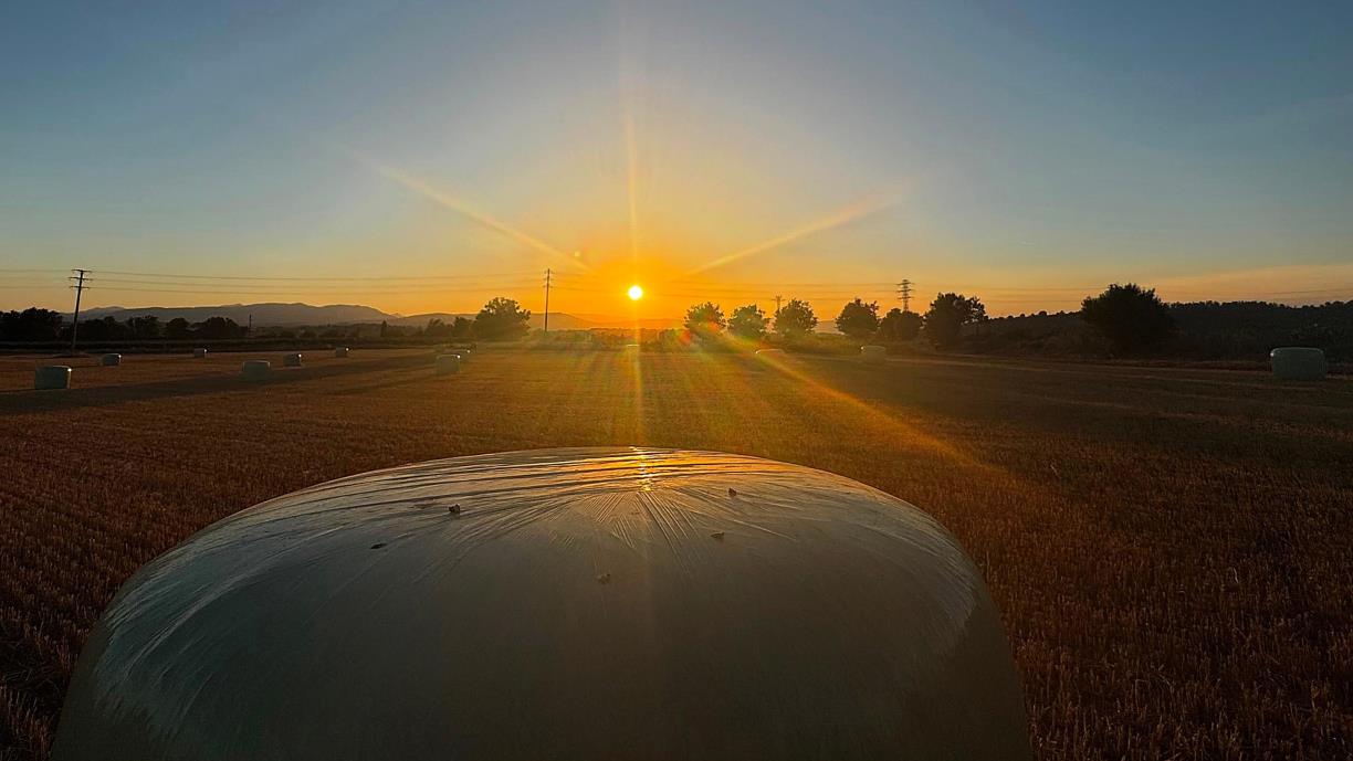 Posta de Sol del dia de Sant Joan des d'un camp de blat segat amb les bales de palla des de Vilafranca del Penedès. Jordina Jané