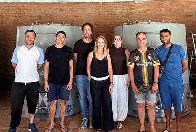 Quatre persones de tercer grau participen en la verema de Raventós i Blanc a través d’un programa de reinserció. Fundació Pro-Penedès