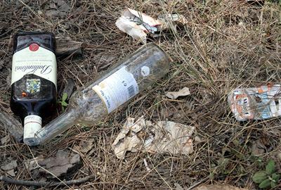 Restes d'un botellot. Eix