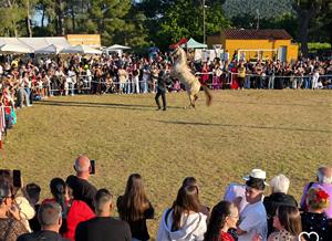 Romeria del Tomoví. @romeriamayotomovi