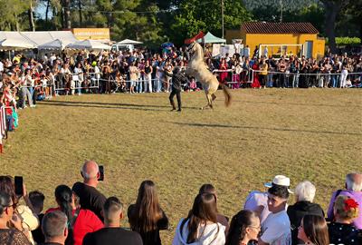 Romeria del Tomoví. @romeriamayotomovi