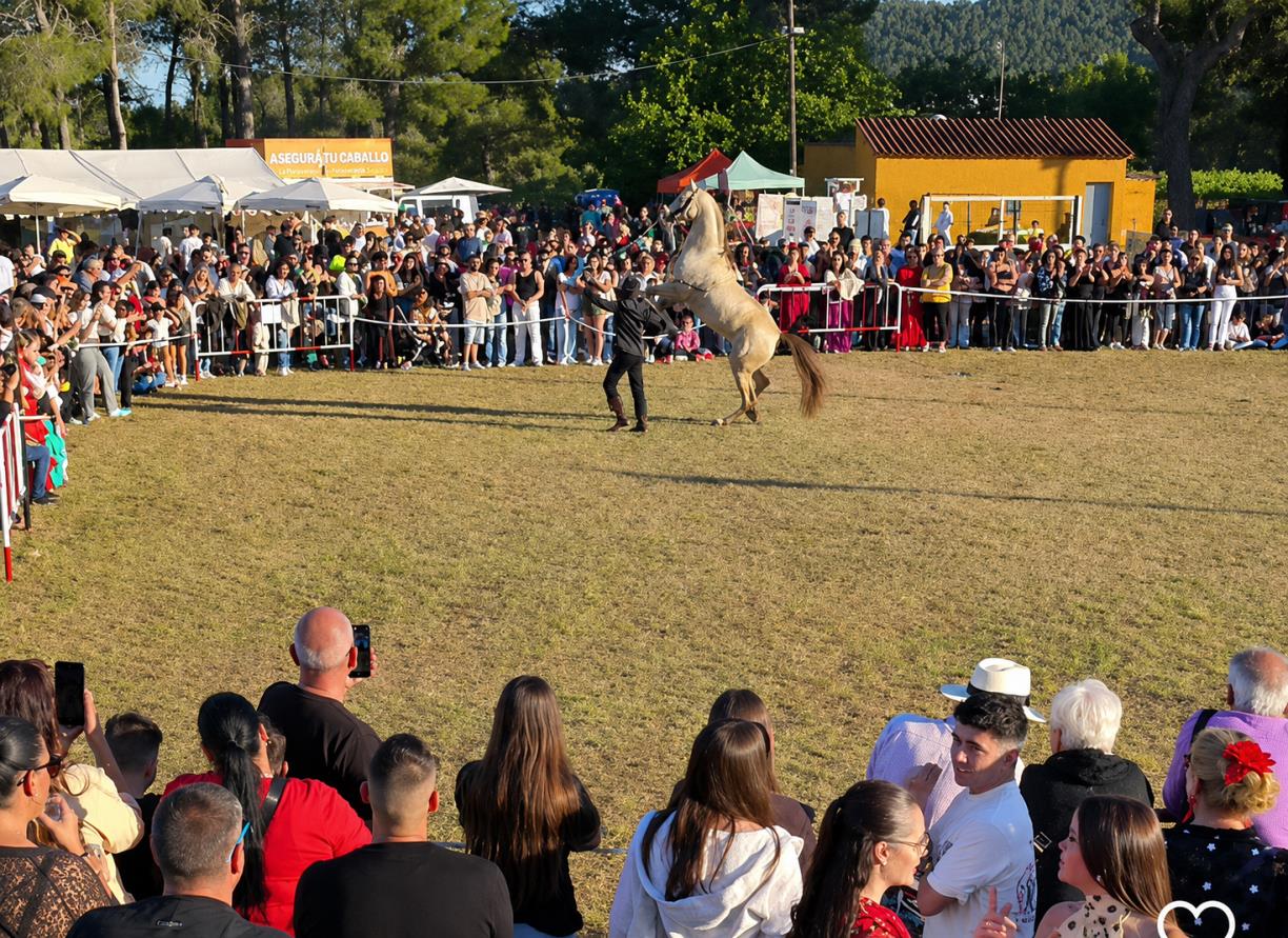 Romeria del Tomoví. @romeriamayotomovi