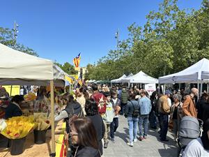 Sant Jordi 2026 al Penedès i el Garraf: una gran xarxa cultural omple carrers, places i biblioteques