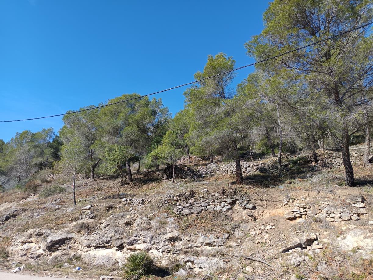 Sant Pere de Ribes activa treballs forestals a Can Lloses – Can Marcer per prevenir incendis  . Ajt Sant Pere de Ribes