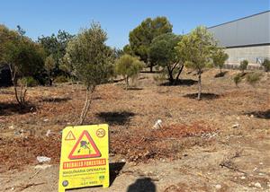 Sant Pere de Ribes inicia el manteniment de la franja perimetral dels Vinyals per prevenir incendis. Ajt Sant Pere de Ribes
