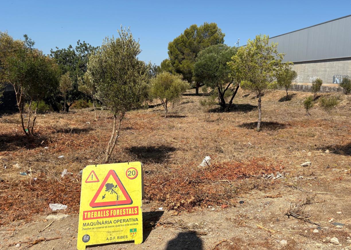 Sant Pere de Ribes inicia el manteniment de la franja perimetral dels Vinyals per prevenir incendis. Ajt Sant Pere de Ribes