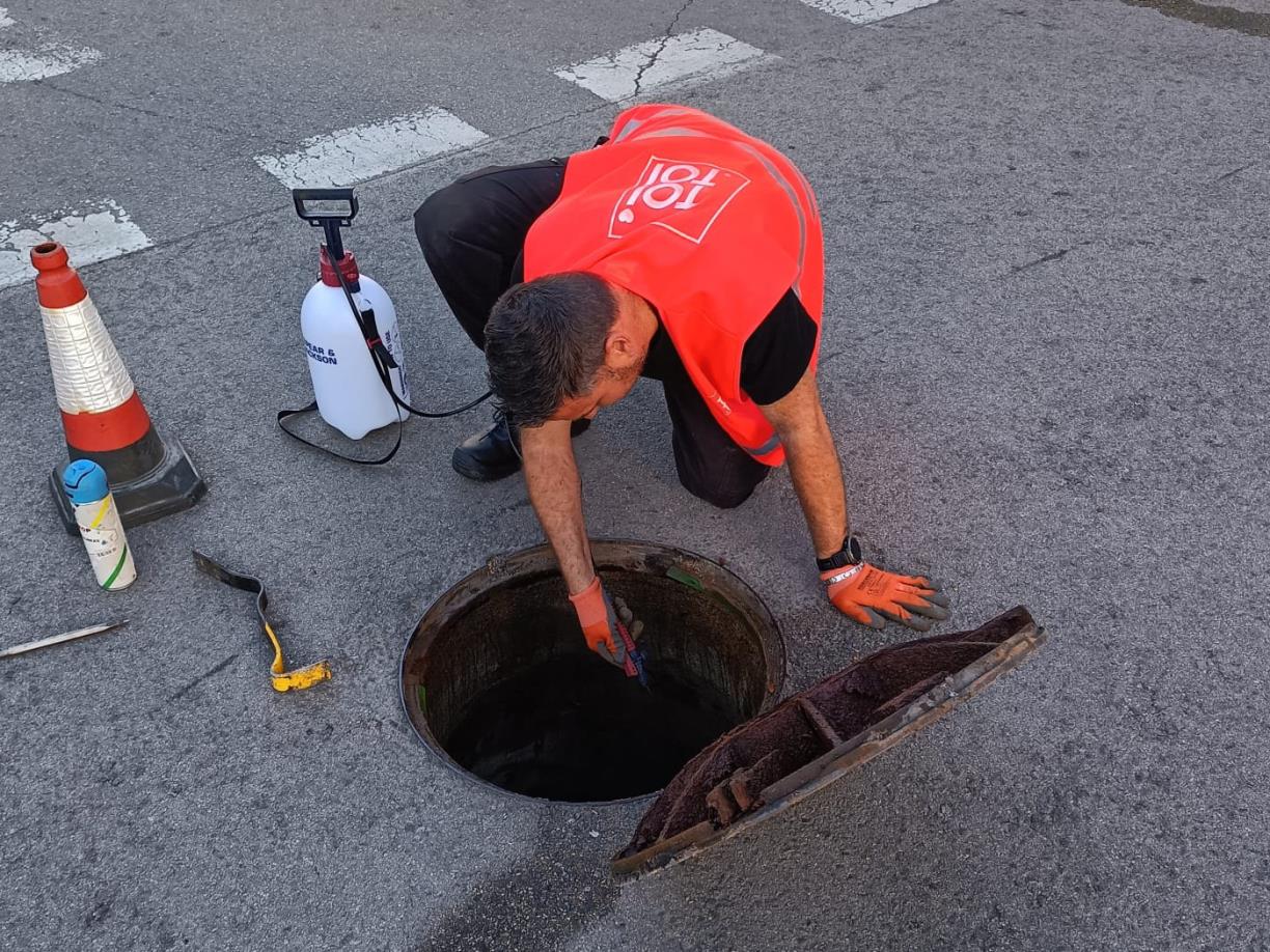 Sant Pere de Ribes intensifica el control de plagues amb un dispositiu especial d’estiu fins al setembre. Ajt Sant Pere de Ribes