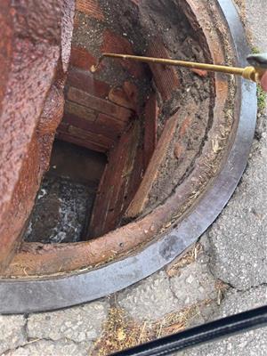 Sant Pere de Ribes intensifica les actuacions de control i prevenció de paneroles. Ajt Sant Pere de Ribes
