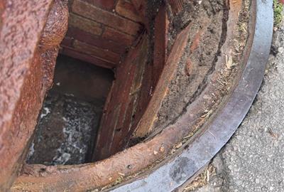 Sant Pere de Ribes intensifica les actuacions de control i prevenció de paneroles. Ajt Sant Pere de Ribes